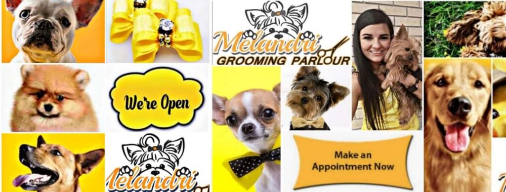 melandri doggy parlour